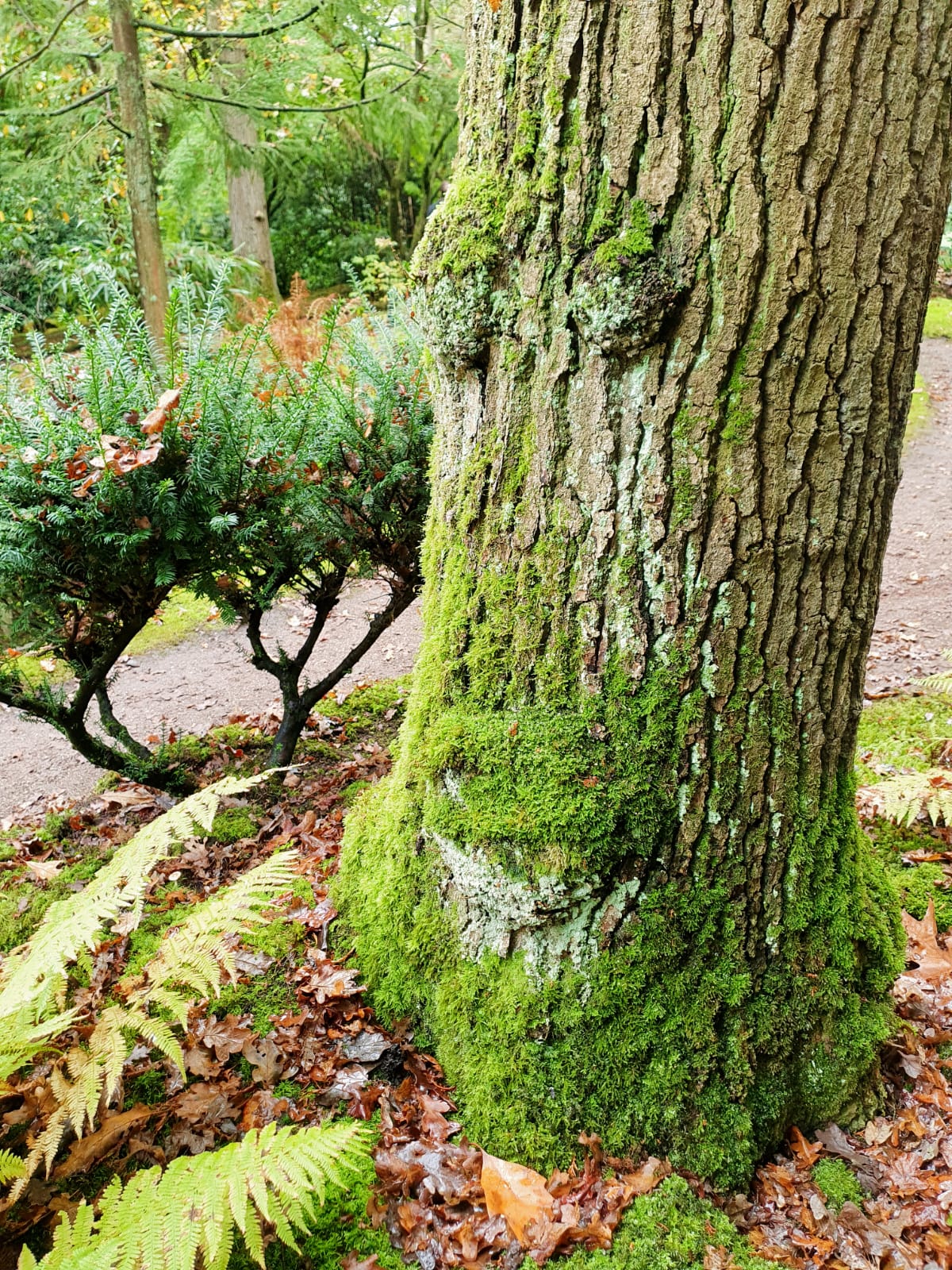 Natuur als krachtige inzet